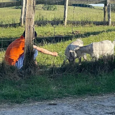 Radlerzimmer Neu Gaarz für 2 Personen Exterior foto